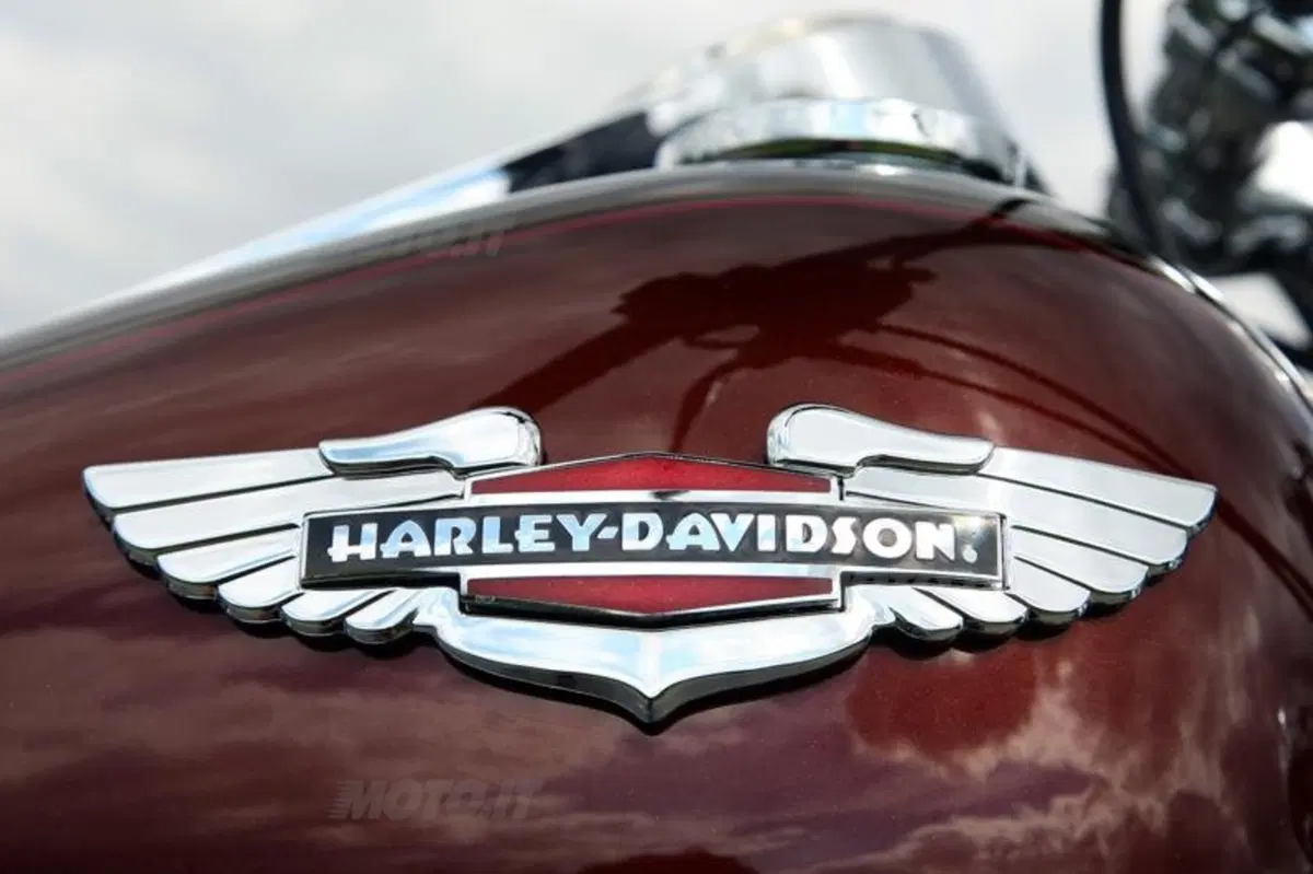 Harley-Davidson 2011  (66)