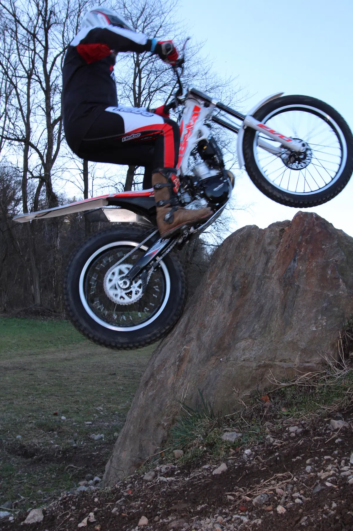 BETA EVO 300 2T/4T (5)