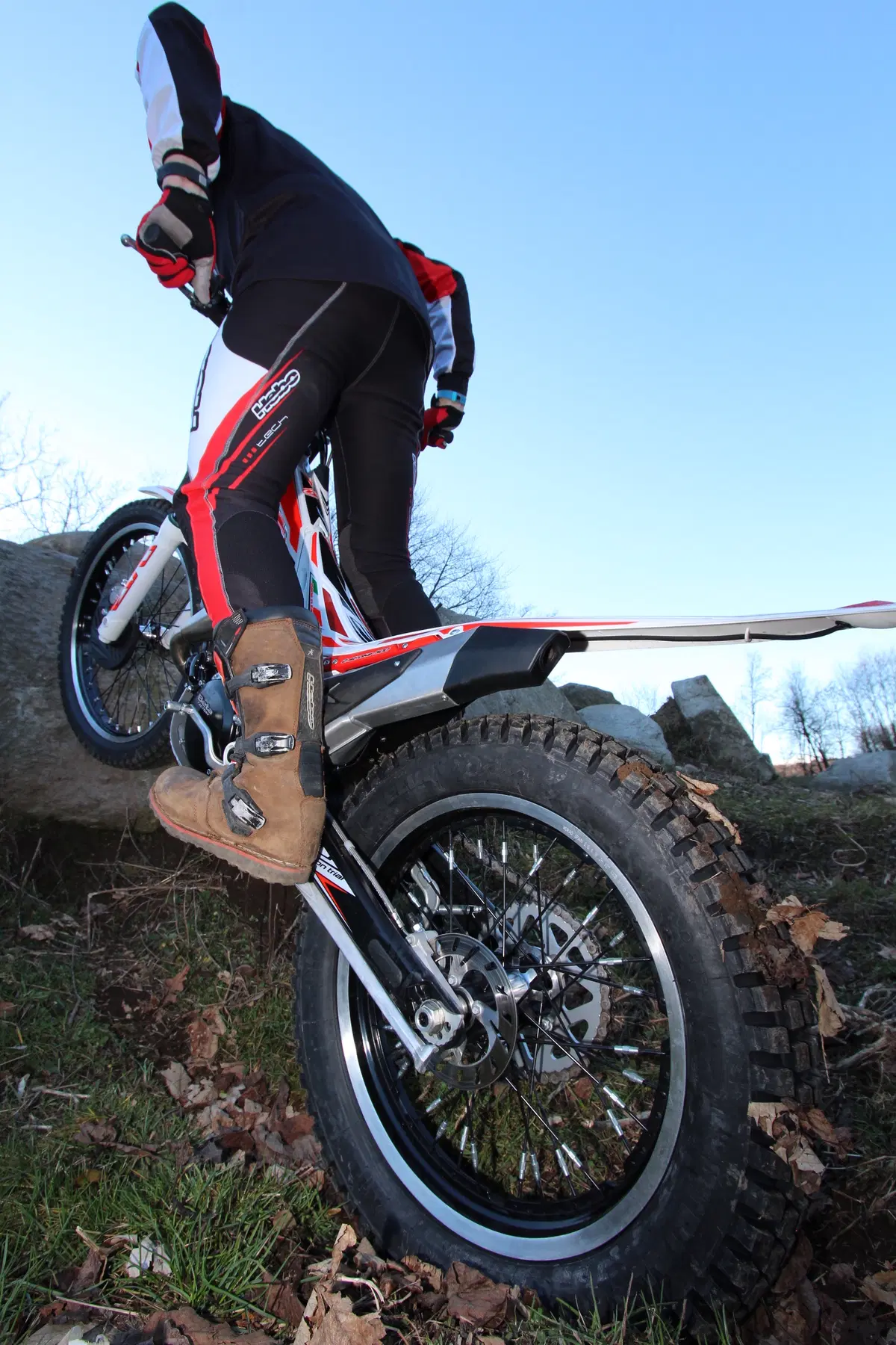BETA EVO 300 2T/4T (8)