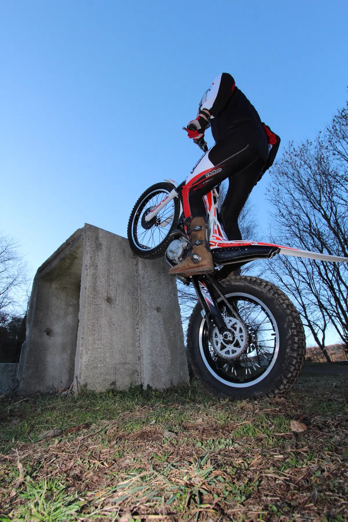 BETA EVO 300 2T/4T (9)