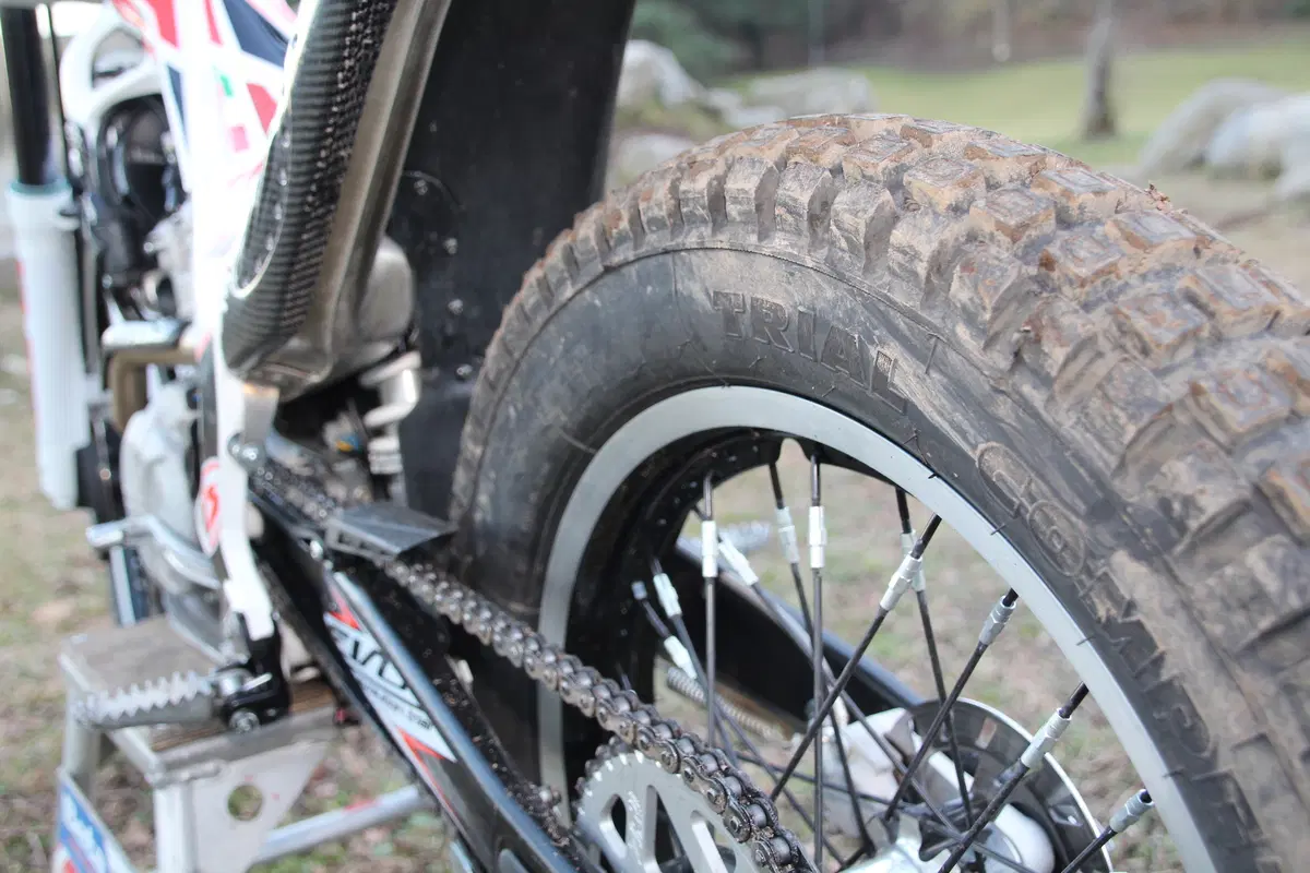 BETA EVO 300 2T/4T (17)