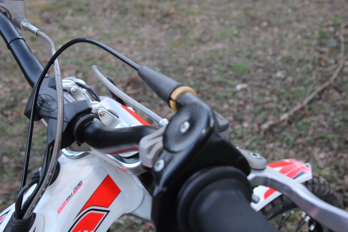 BETA EVO 300 2T/4T (26)