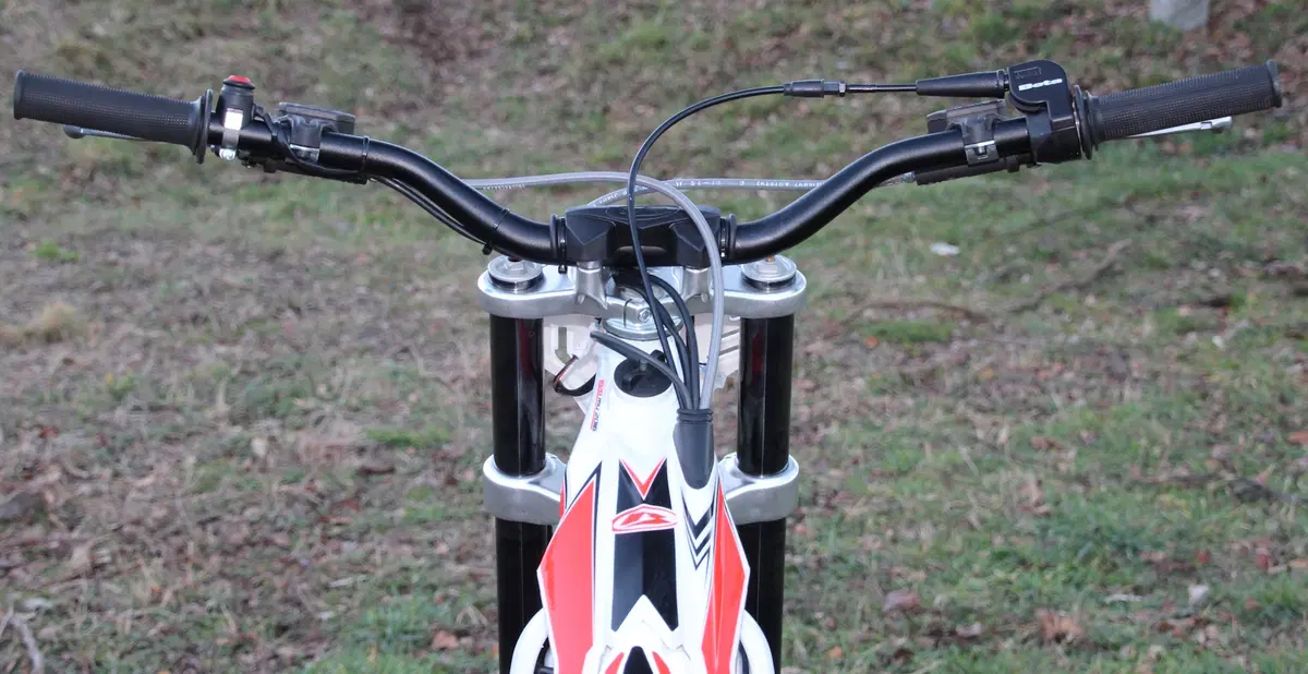 BETA EVO 300 2T/4T (29)