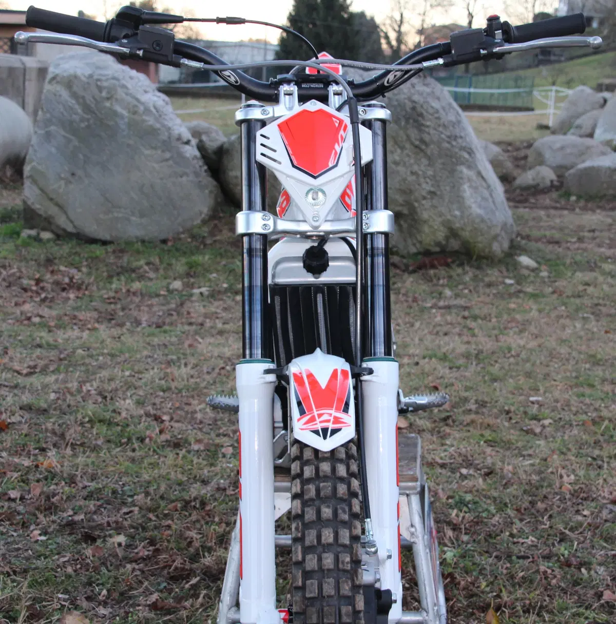 BETA EVO 300 2T/4T (32)