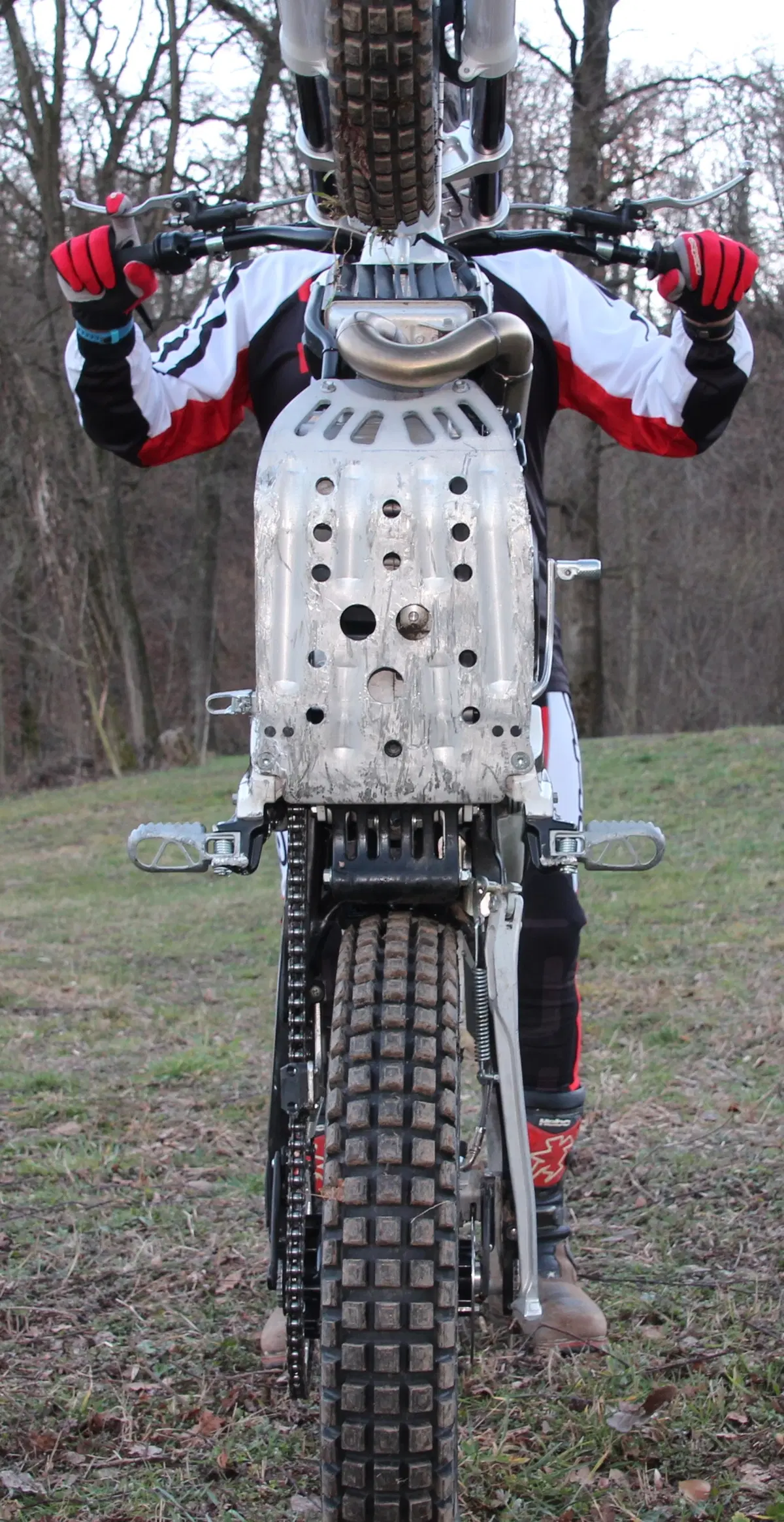 BETA EVO 300 2T/4T (33)