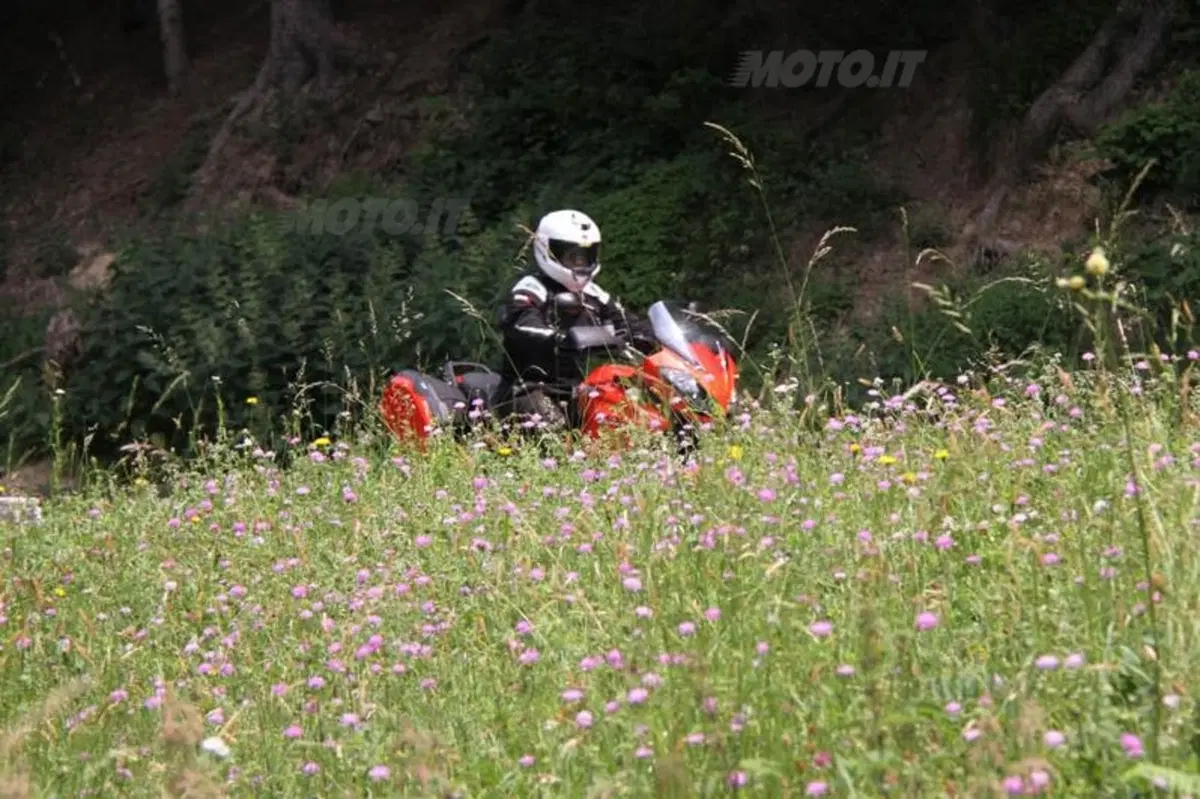 Triumph Tiger SE   (7)