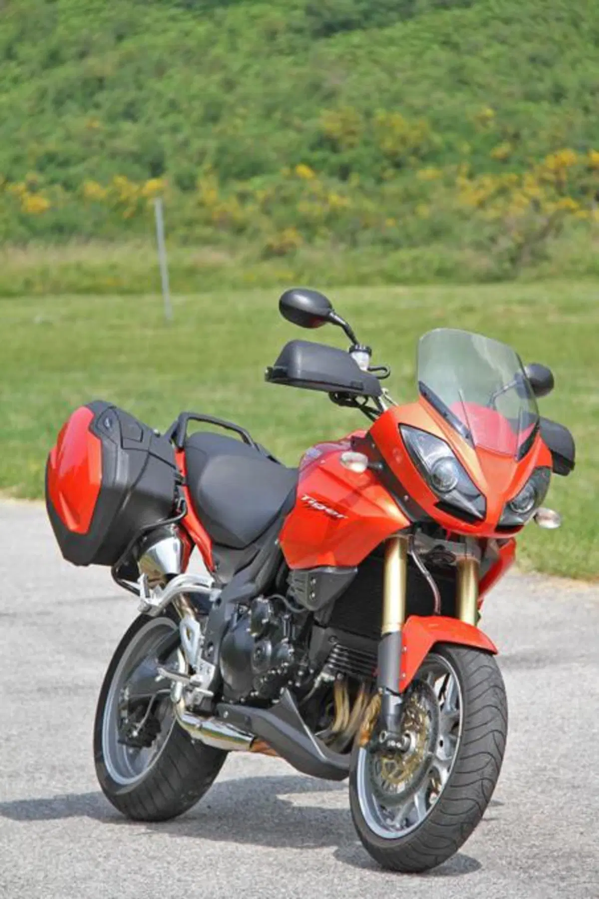 Triumph Tiger SE   (19)