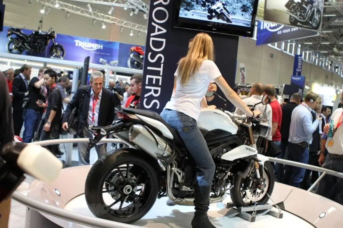 Triumph Speed Triple 1050 2011 (6)