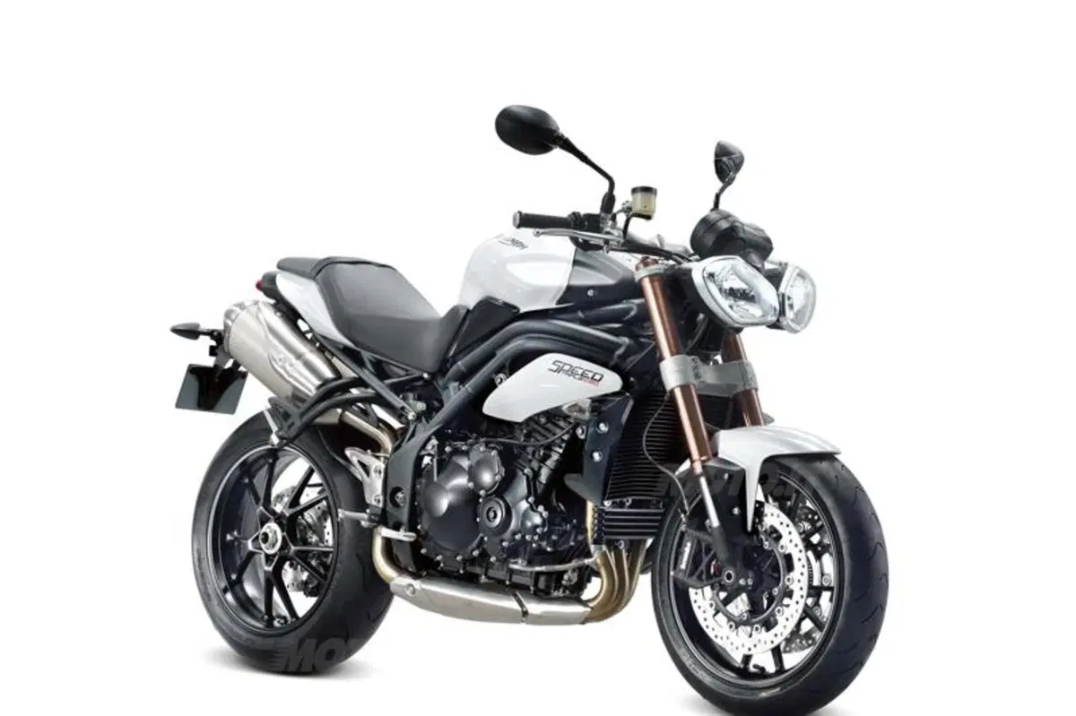 Triumph Speed Triple 1050 2011 (13)