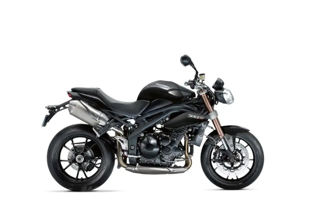Triumph Speed Triple 1050 2011 (14)