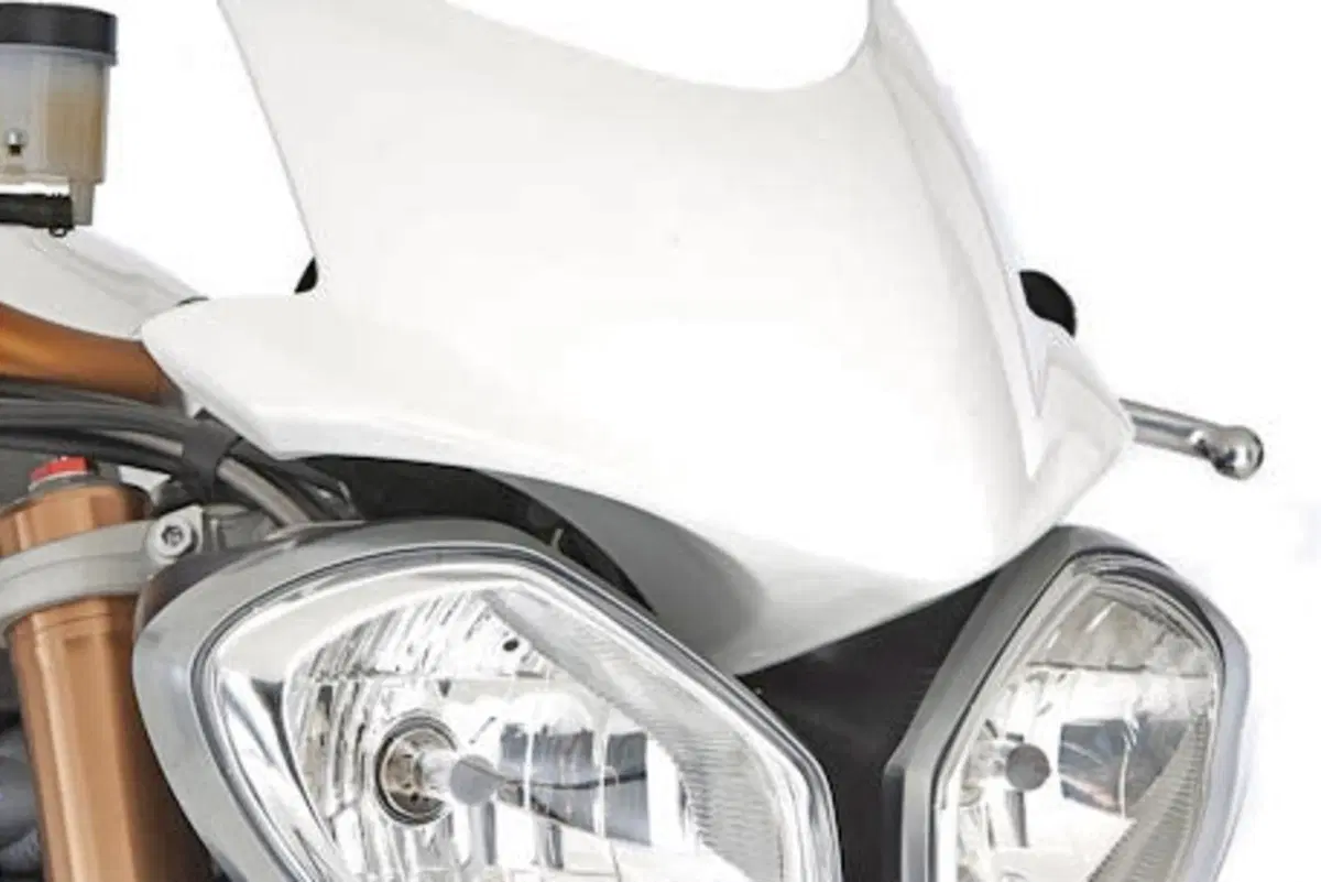 Triumph Speed Triple 1050 2011 (18)