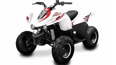  Altre moto o tipologie Quad nuova