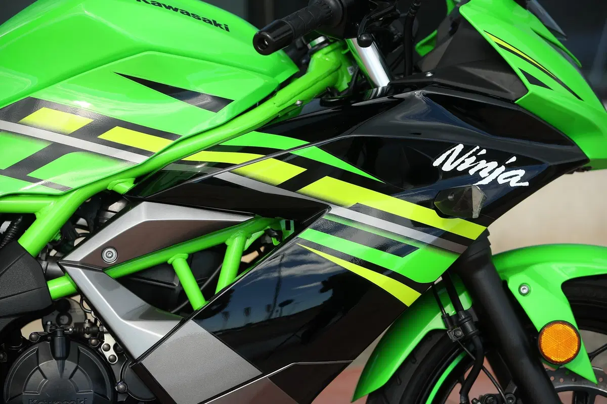 Kawasaki Ninja 125 2019: il test della Ninjetta [Video] (2)