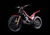 Montesa Cota 4RT 300 RR (2019) (6)