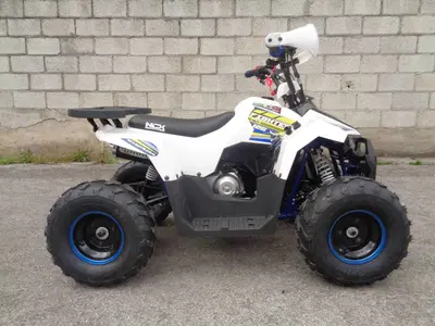  Altre moto o tipologie Quad nuova