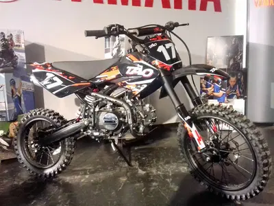  Altre moto o tipologie Pitbike nuova