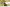 Kawasaki Z125 m.y. 2019, il test 