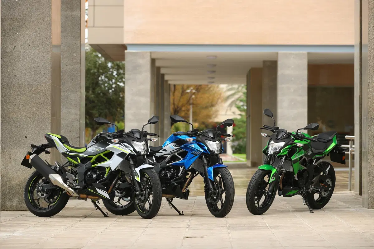 Kawasaki Z125 2019, il test della naked in verde [Video] (14)