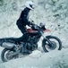 Triumph Tiger 800 XC. La fotogallery completa