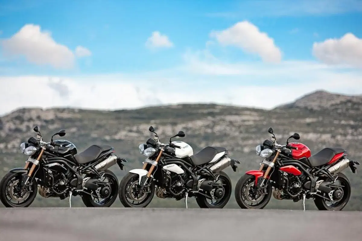 Triumph Speed Triple 1050 2011  (25)