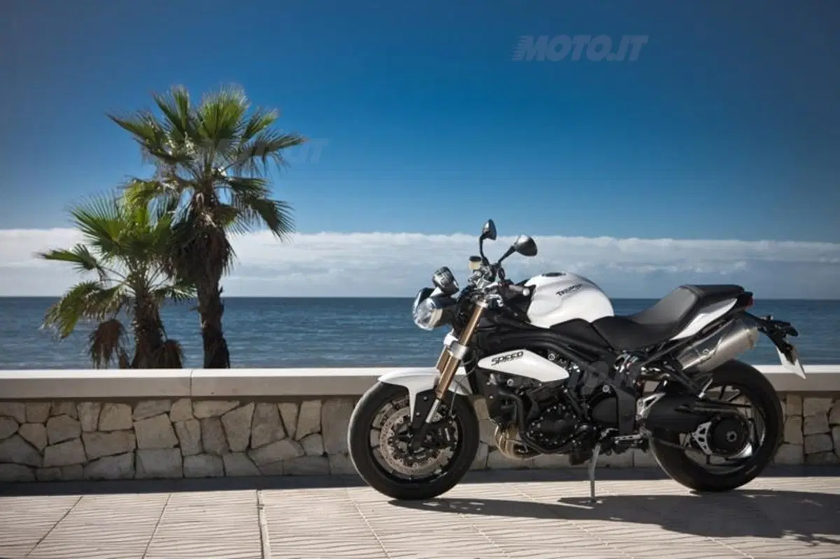 Triumph Speed Triple 1050 2011  (35)