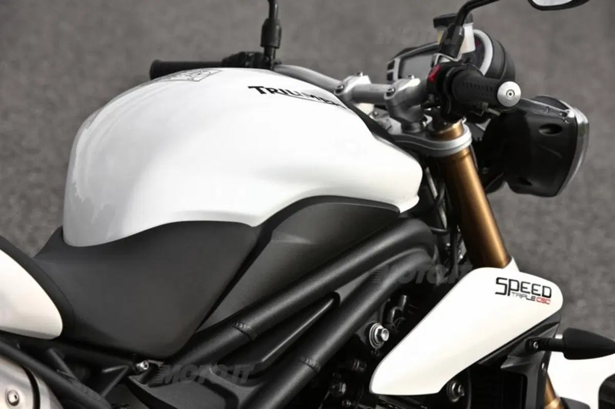 Triumph Speed Triple 1050 2011  (65)