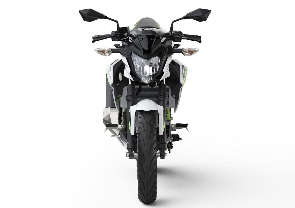 Kawasaki Z 125 (2019 - 20) (2)