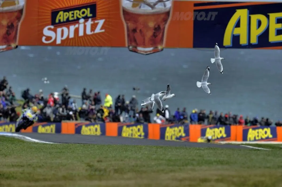 MotoGP. Le foto inedite del GP di Phillip Island (21)