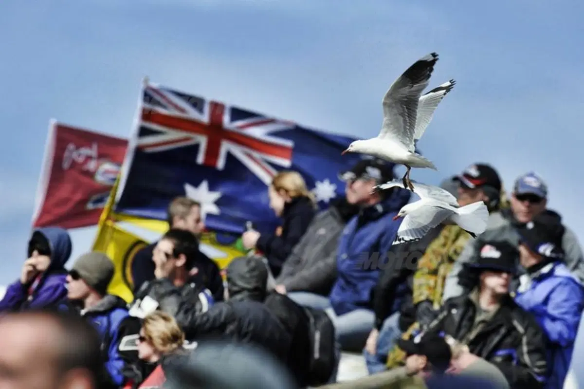 MotoGP. Le foto inedite del GP di Phillip Island (26)