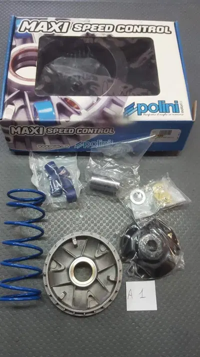 VARIATORE POLINI KYMCO AGILITY LIKE PEOPLE MALAGUT Polini Motori