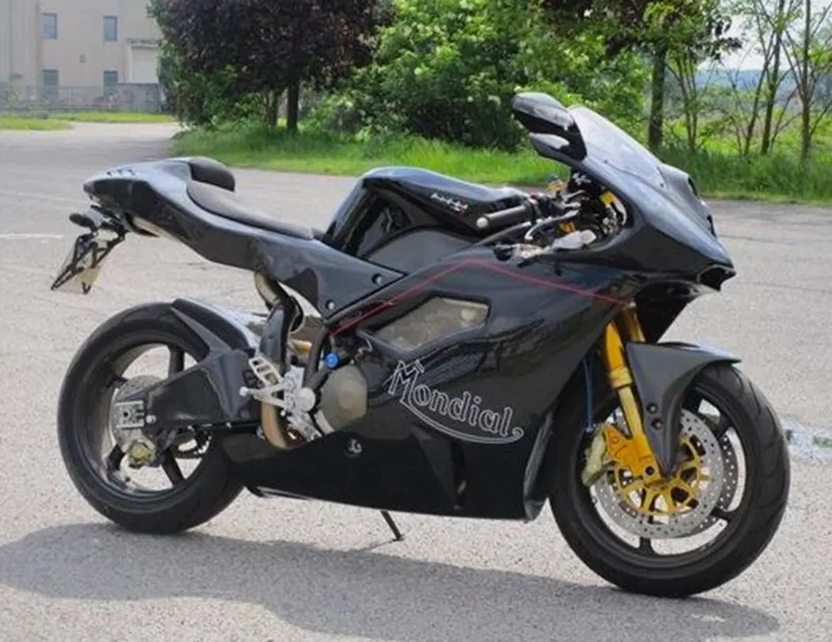 Le Belle e Possibili di Moto.it: Mondial Piega (3)