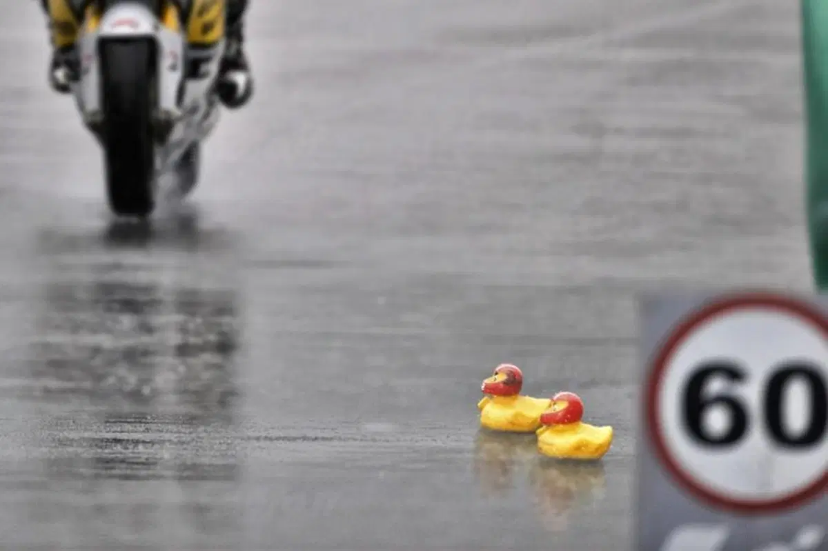 MotoGP. Le foto inedite del GP dell'Estoril