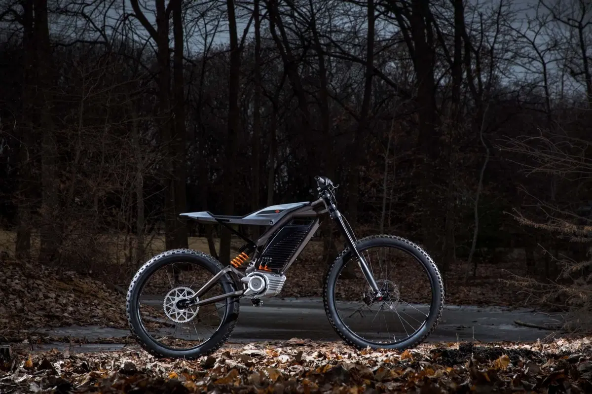 CES 2019. Harley-Davidson presenta uno scooter e un motociclo elettrico (2)