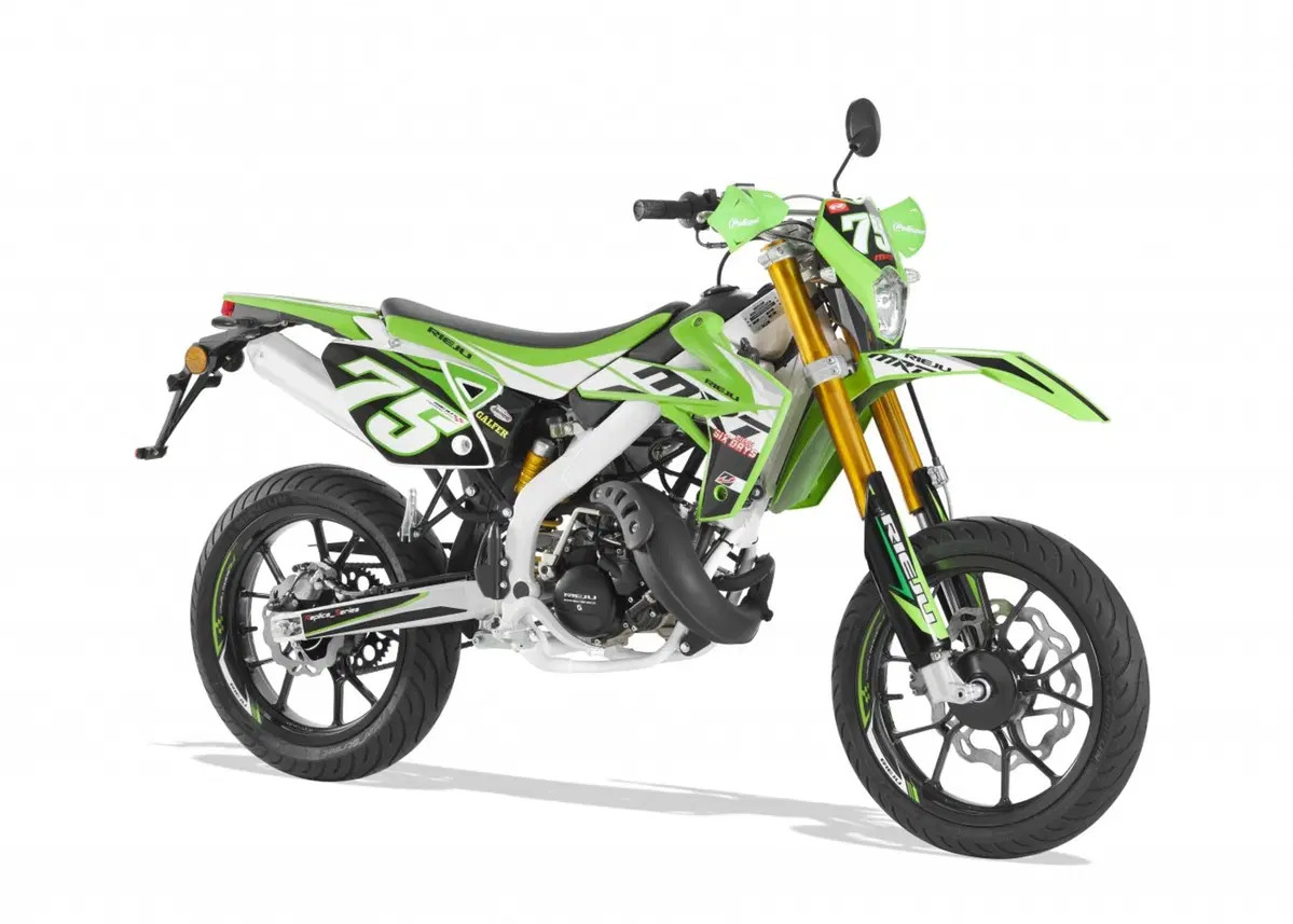 Rieju MRT 50 Motard MRT 50 Motard Replica (2018 - 19) (3)