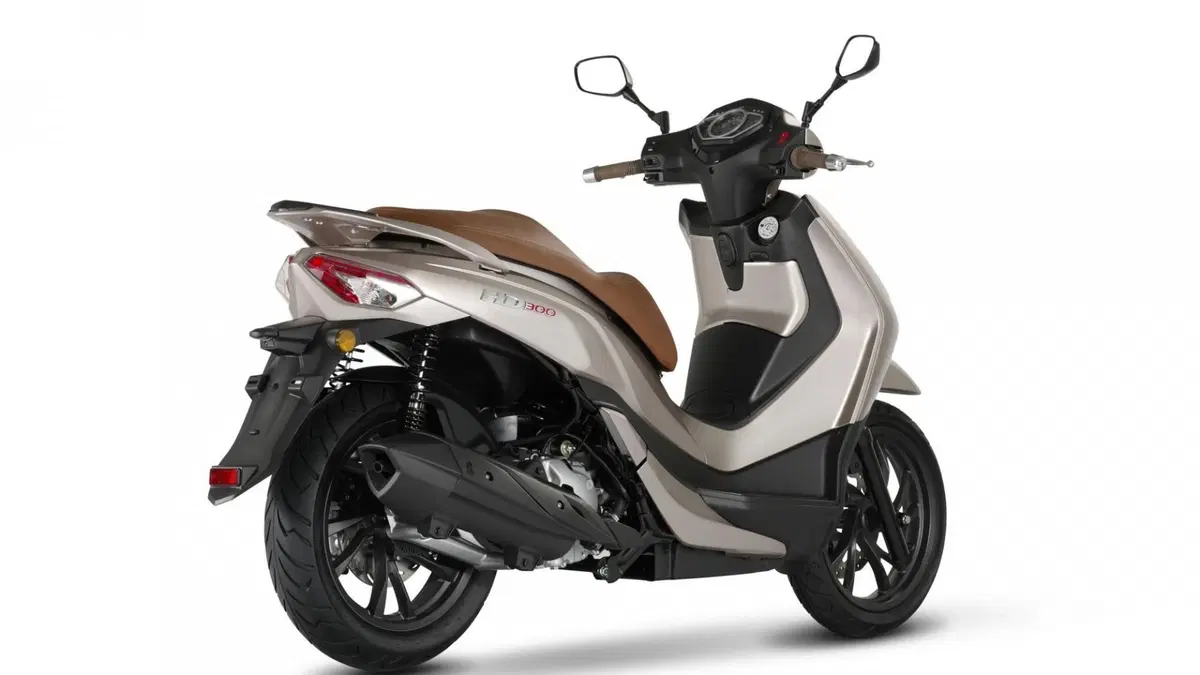 Sym HD 300 HD 300 (2019 - 20) (2)