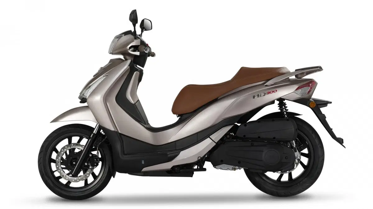 Sym HD 300 HD 300 (2019 - 20) (7)
