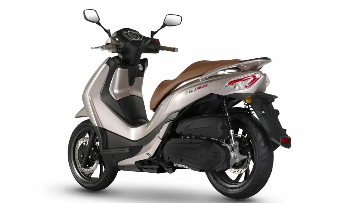 Sym HD 300 HD 300 (2019 - 20) (8)
