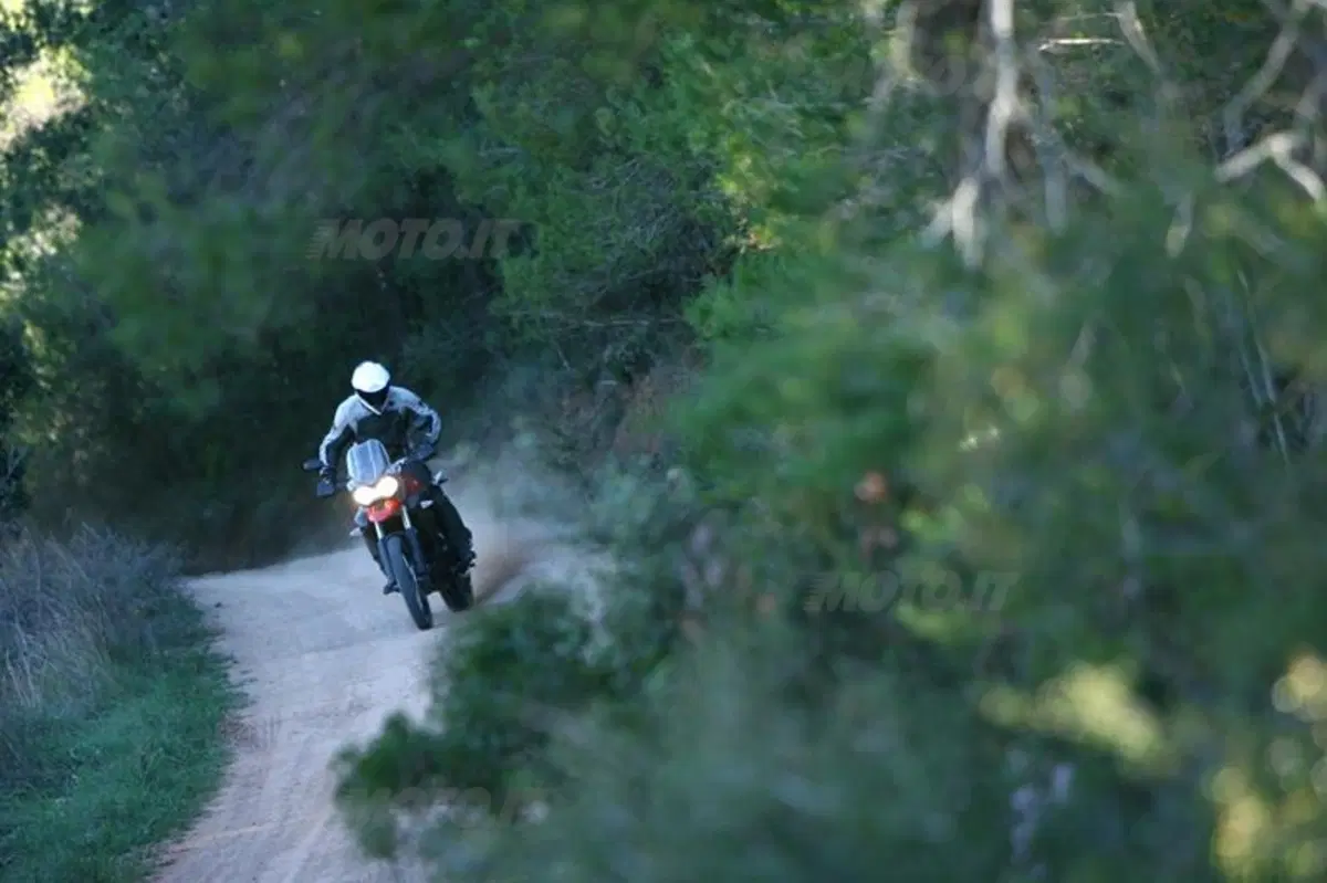 Triumph Tiger 800XC  (3)
