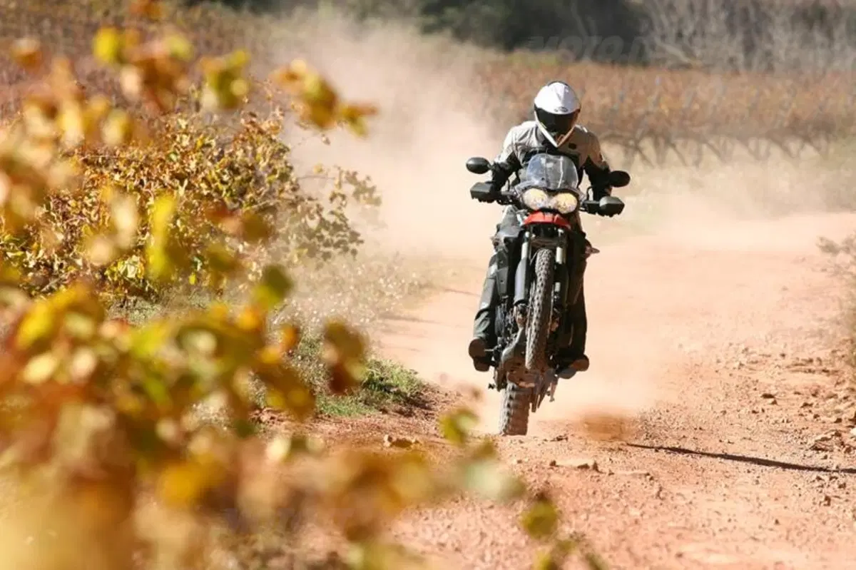 Triumph Tiger 800XC  (4)