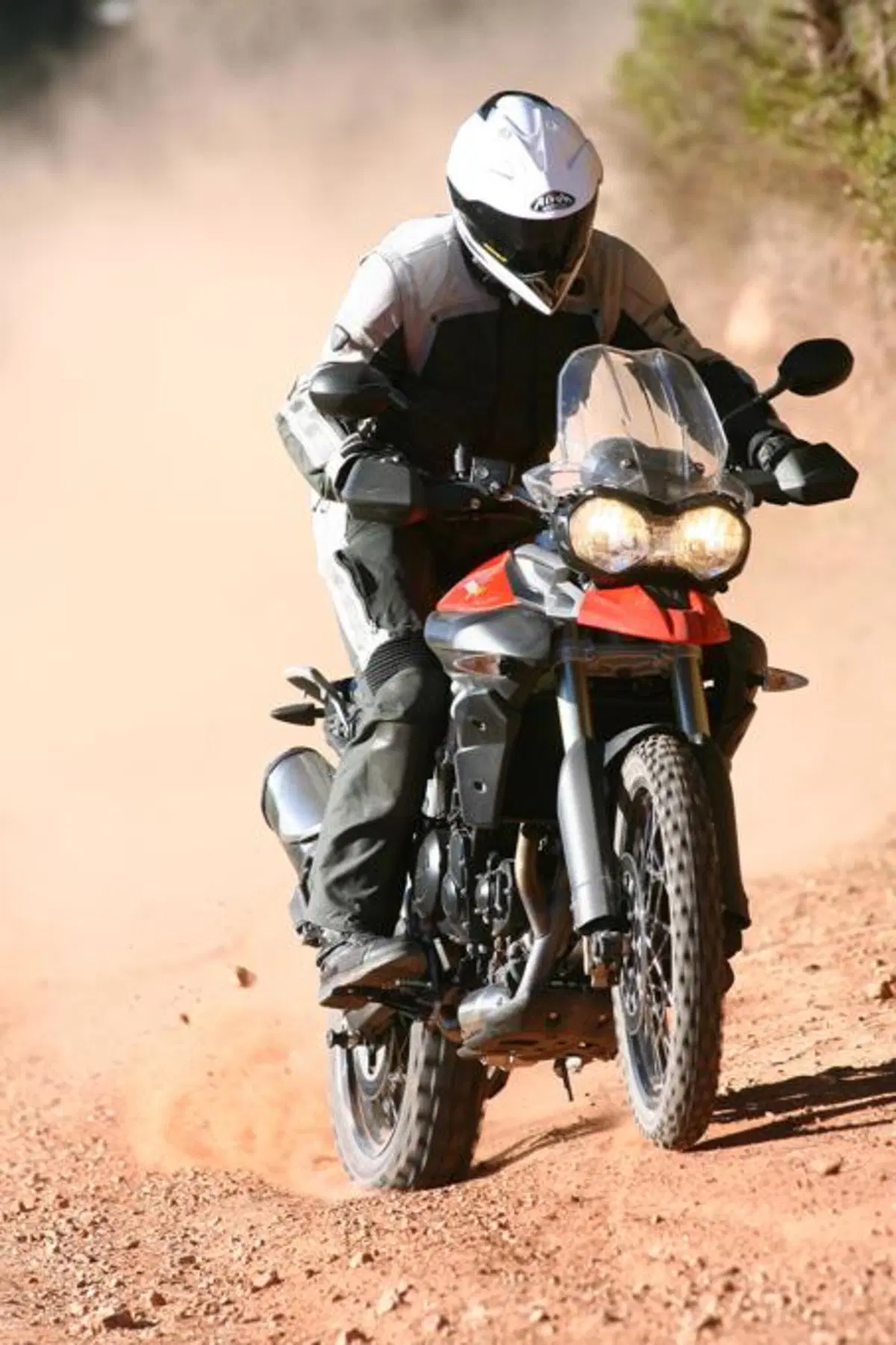 Triumph Tiger 800XC  (5)