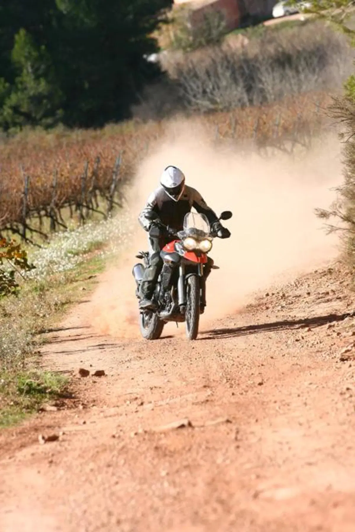 Triumph Tiger 800XC  (7)