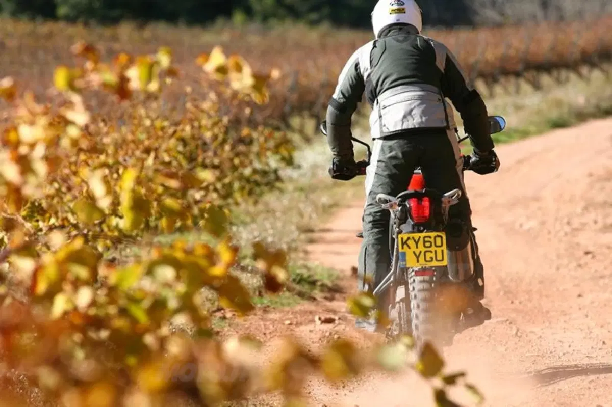Triumph Tiger 800XC  (12)