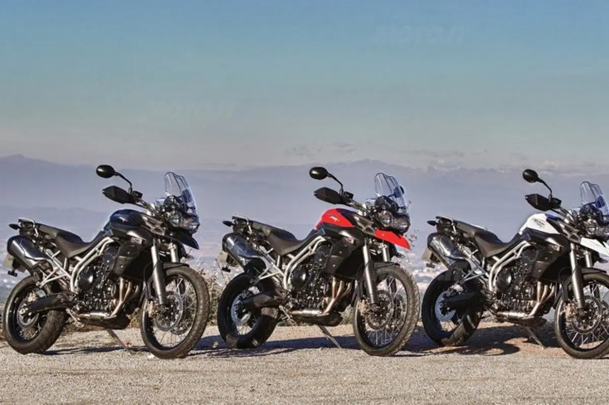 Triumph Tiger 800XC  (22)