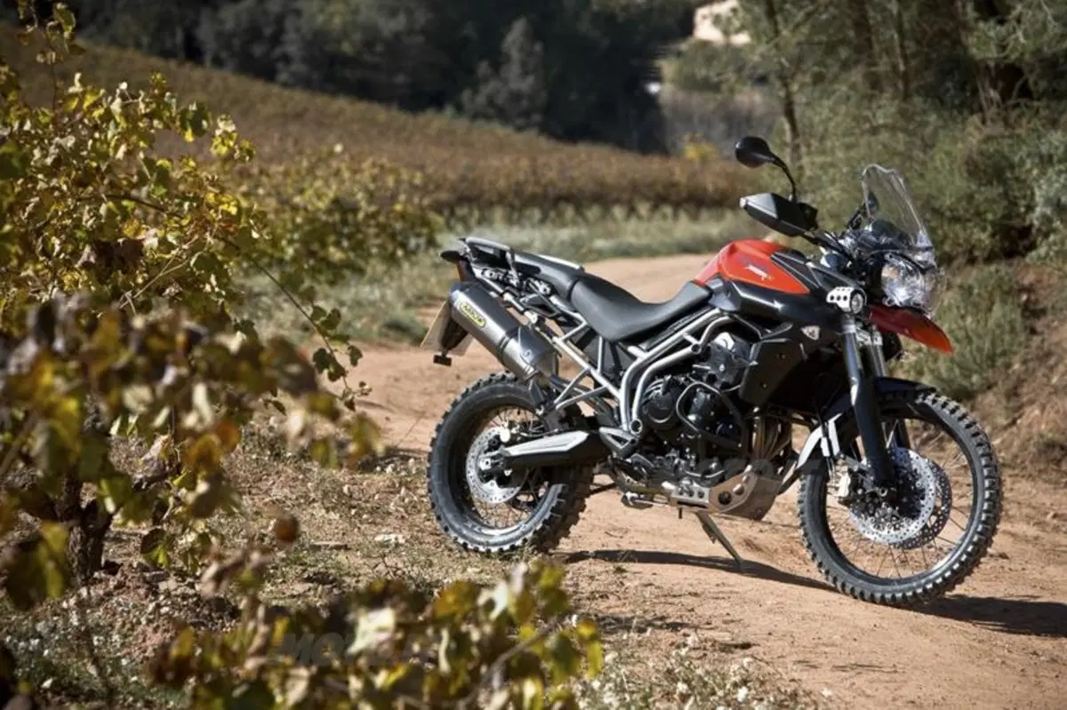 Triumph Tiger 800XC  (25)
