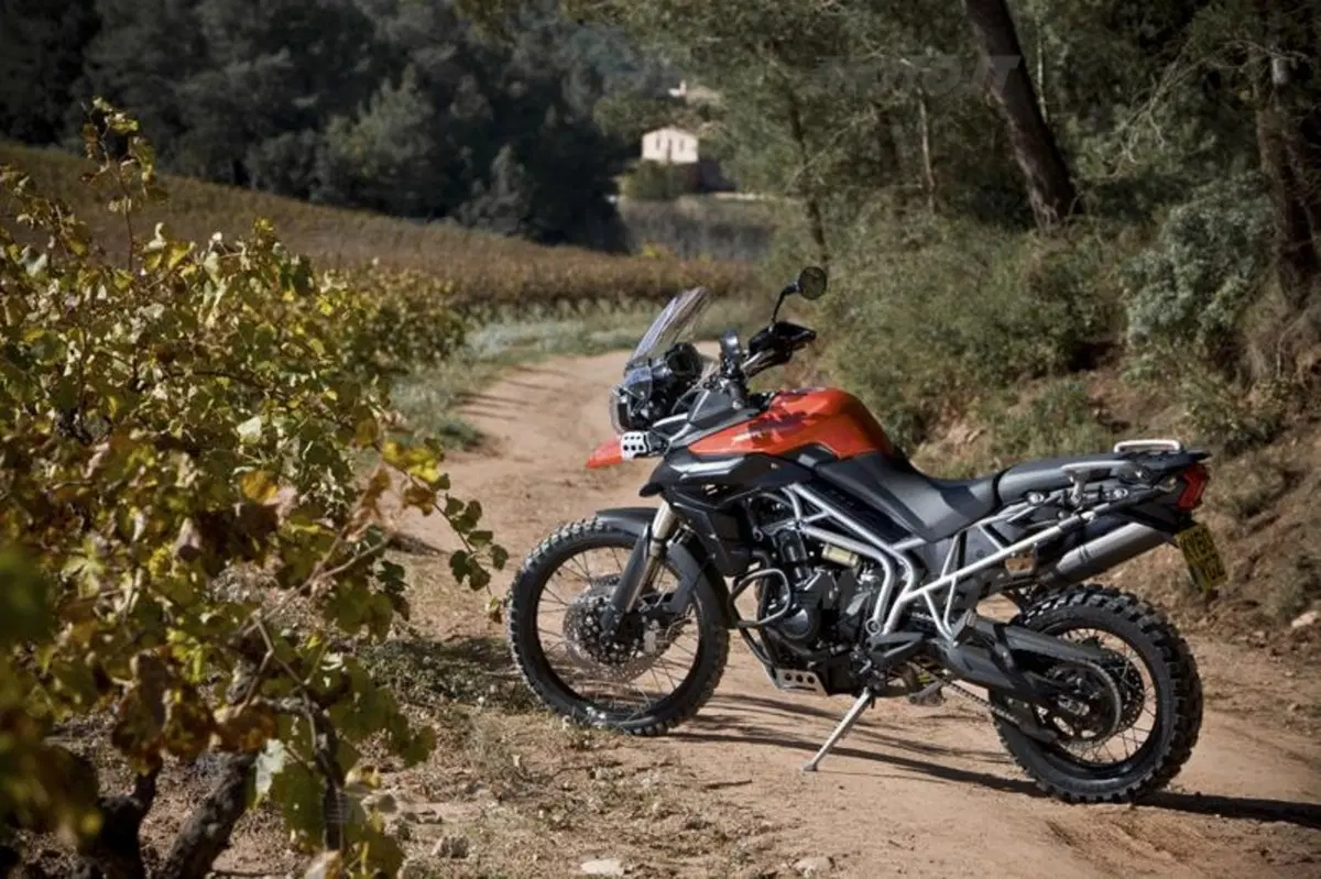 Triumph Tiger 800XC  (27)