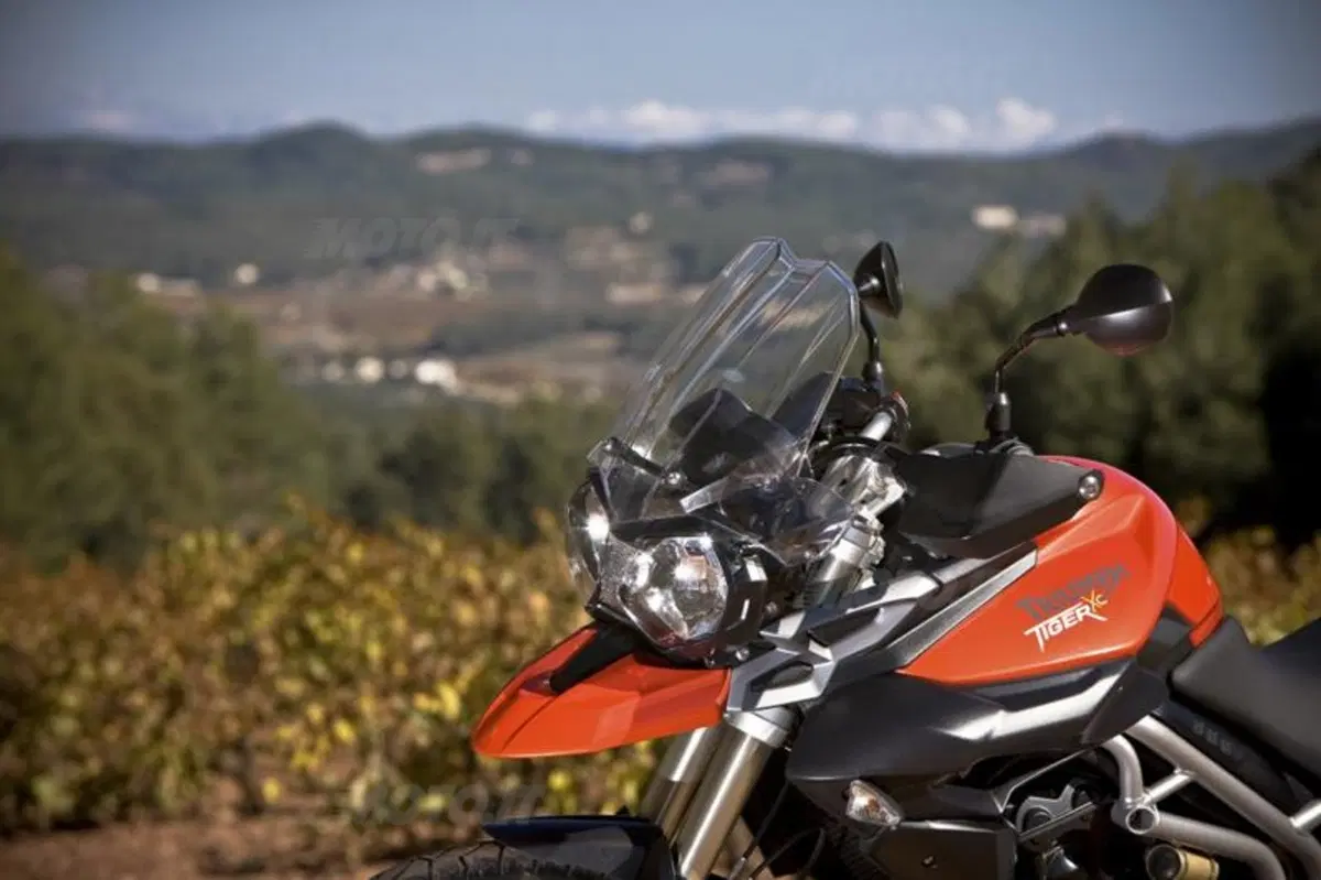 Triumph Tiger 800XC  (47)