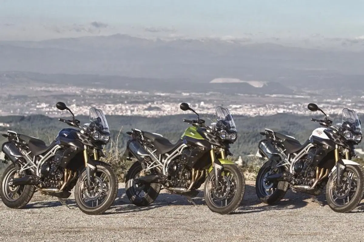 Triumph Tiger 800  (19)