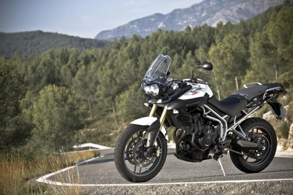 Triumph Tiger 800  (22)