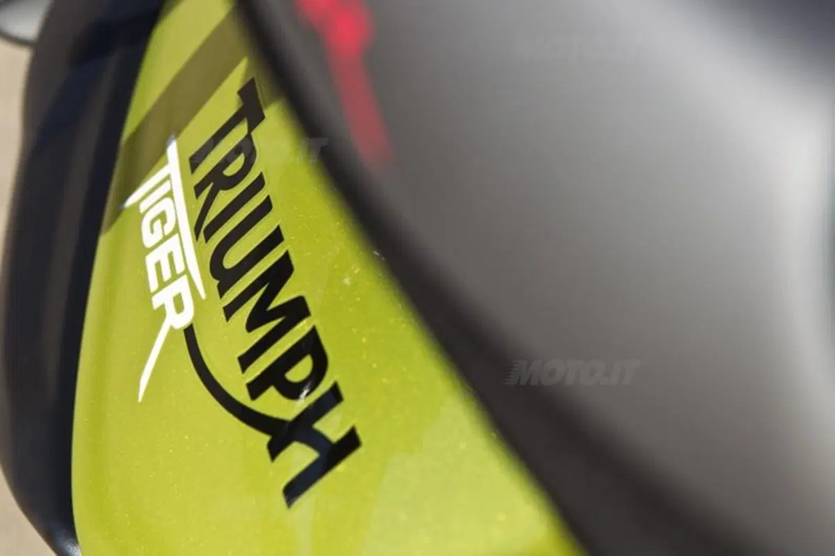 Triumph Tiger 800  (26)