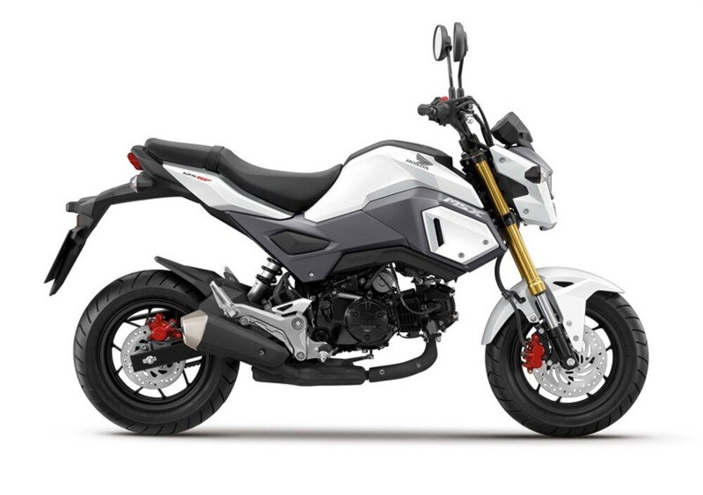 Honda MSX 125 (2018 - 20) (2)